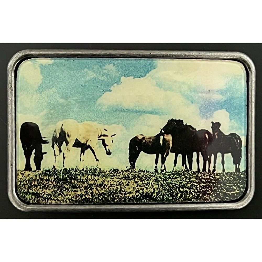 Belt Buckle Ranch Horse Grazing Field Farm
